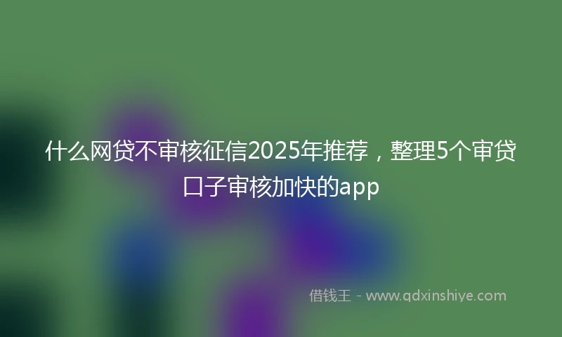 什么网贷不审核征信2025年推荐，整理5个审贷口子审核加快的app