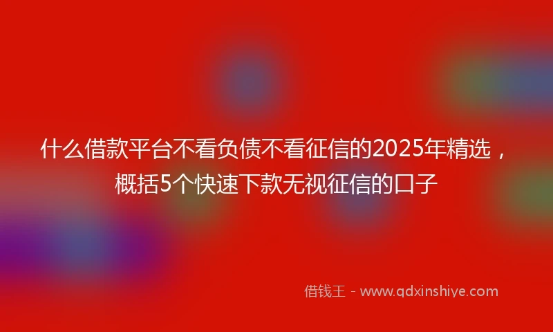 什么借款平台不看负债不看征信的2025年精选，概括5个快速下款无视征信的口子