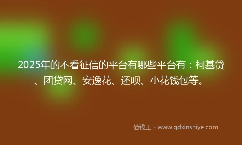 2025年的不看征信的平台有哪些平台有：柯基贷、团贷网、安逸花、还呗、小花钱包等。