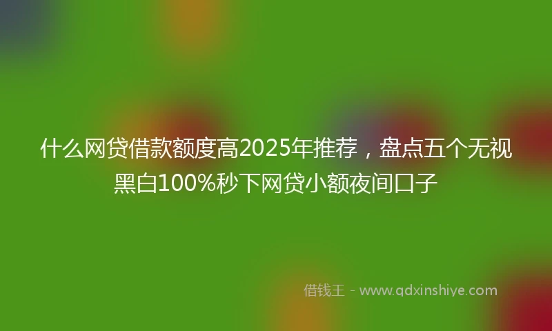 什么网贷借款额度高2025年推荐，盘点五个无视黑白100%秒下网贷小额夜间口子