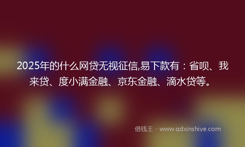 2025年的什么网贷无视征信,易下款有：省呗、我来贷、度小满金融、京东金融、滴水贷等。