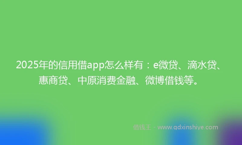 2025年的信用借app怎么样有：e微贷、滴水贷、惠商贷、中原消费金融、微博借钱等。