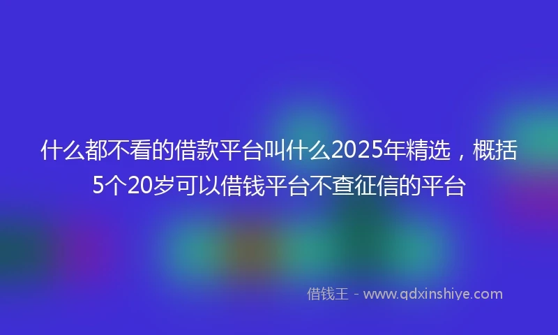 什么都不看的借款平台叫什么2025年精选，概括5个20岁可以借钱平台不查征信的平台