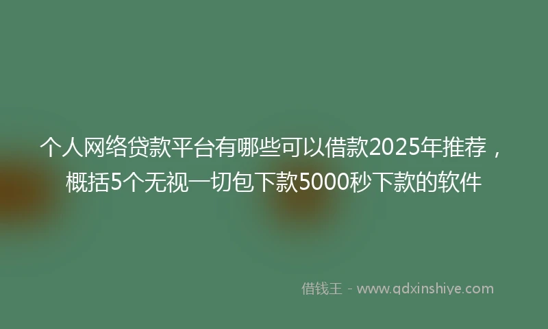 个人网络贷款平台有哪些可以借款2025年推荐，概括5个无视一切包下款5000秒下款的软件
