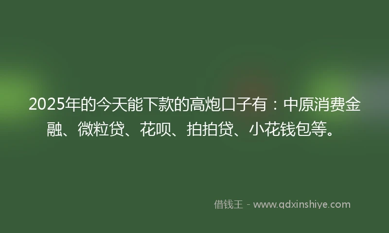 2025年的今天能下款的高炮口子有：中原消费金融、微粒贷、花呗、拍拍贷、小花钱包等。