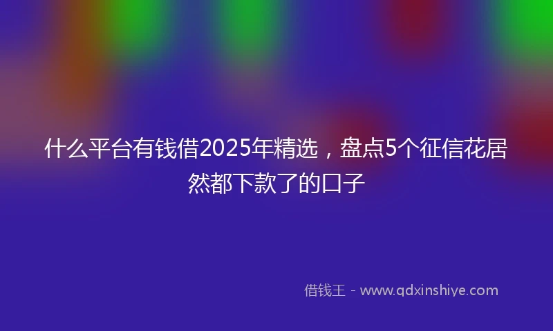 什么平台有钱借2025年精选，盘点5个征信花居然都下款了的口子