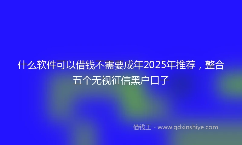 什么软件可以借钱不需要成年2025年推荐，整合五个无视征信黑户口子