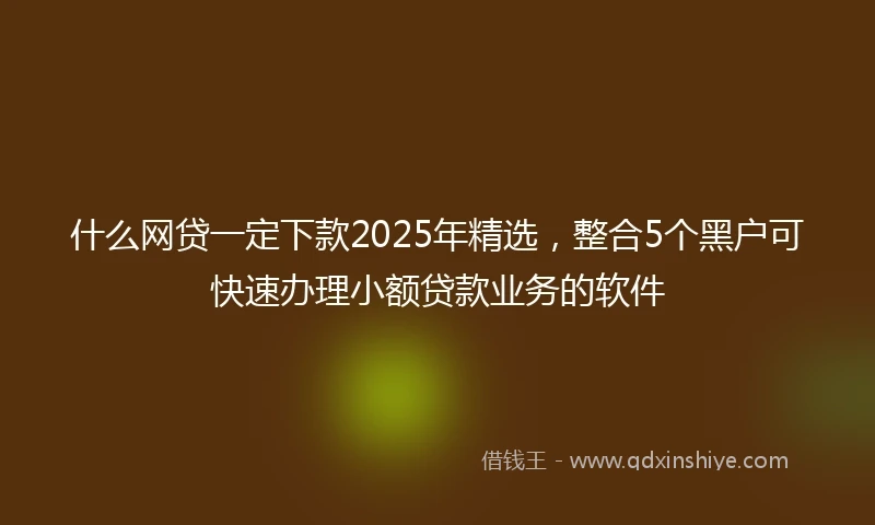 什么网贷一定下款2025年精选，整合5个黑户可快速办理小额贷款业务的软件