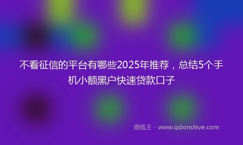 不看征信的平台有哪些2025年推荐，总结5个手机小额黑户快速贷款口子