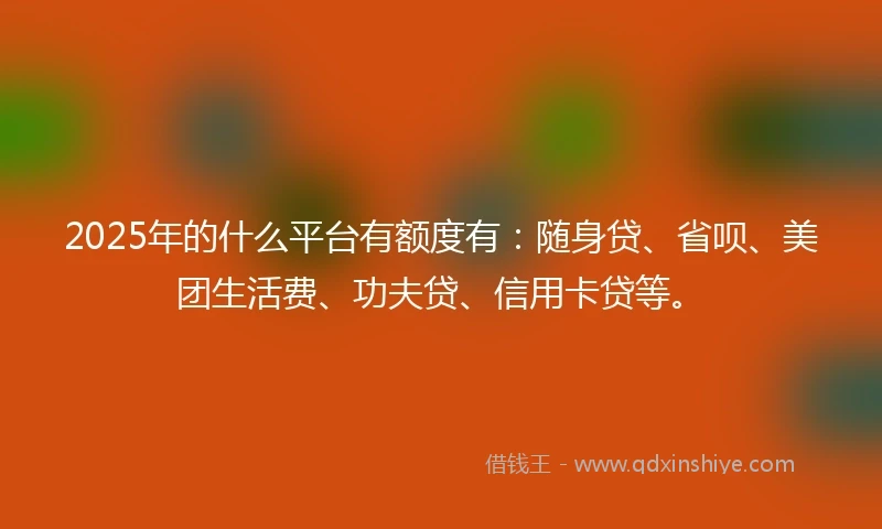 2025年的什么平台有额度有：随身贷、省呗、美团生活费、功夫贷、信用卡贷等。