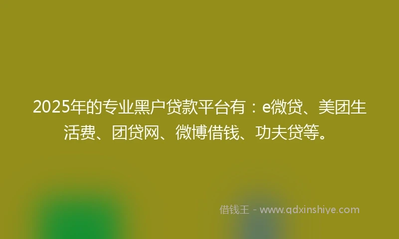 2025年的专业黑户贷款平台有：e微贷、美团生活费、团贷网、微博借钱、功夫贷等。