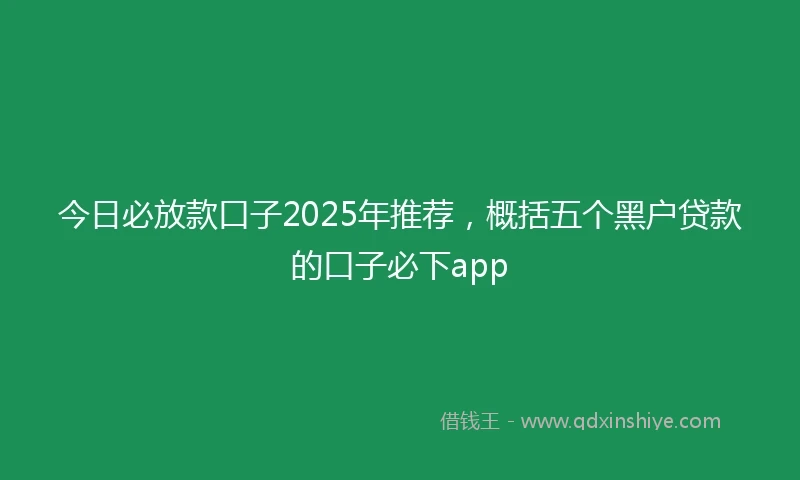今日必放款口子2025年推荐,概括五个黑户贷款的口子必下app