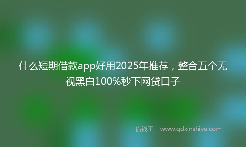 什么短期借款app好用2025年推荐，整合五个无视黑白100%秒下网贷口子