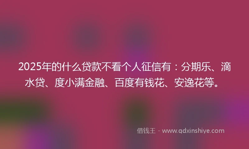 2025年的什么贷款不看个人征信有：分期乐、滴水贷、度小满金融、百度有钱花、安逸花等。