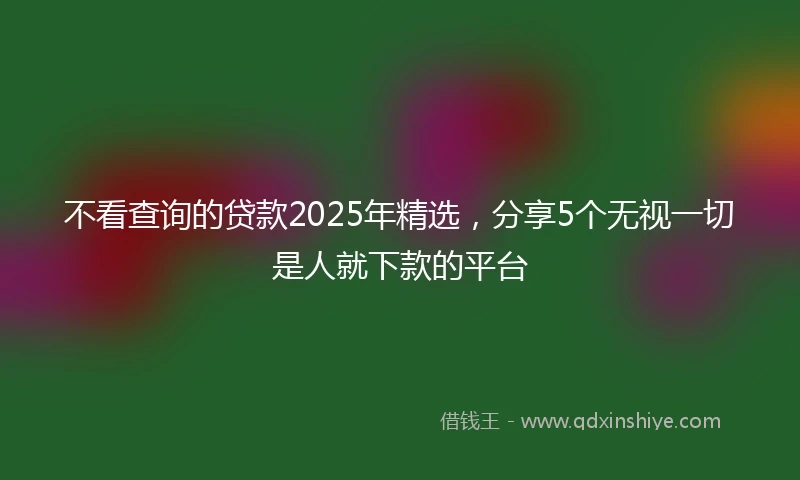 不看查询的贷款2025年精选，分享5个无视一切是人就下款的平台