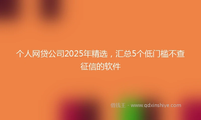 个人网贷公司2025年精选，汇总5个低门槛不查征信的软件
