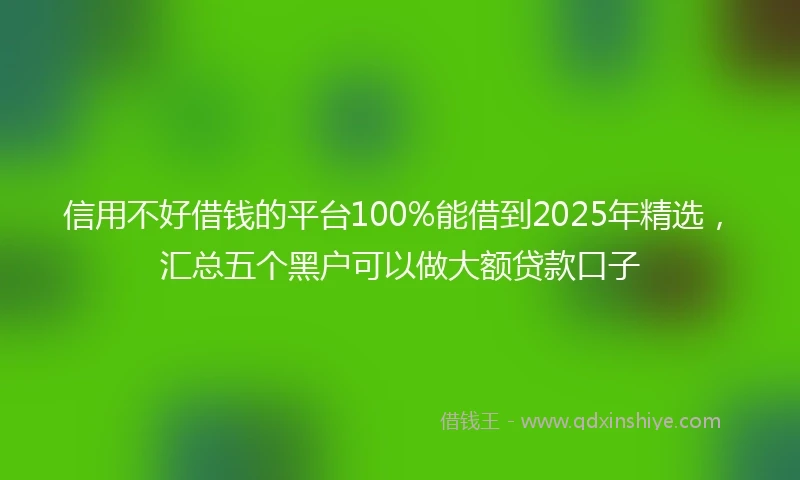 信用不好借钱的平台100%能借到2025年精选，汇总五个黑户可以做大额贷款口子