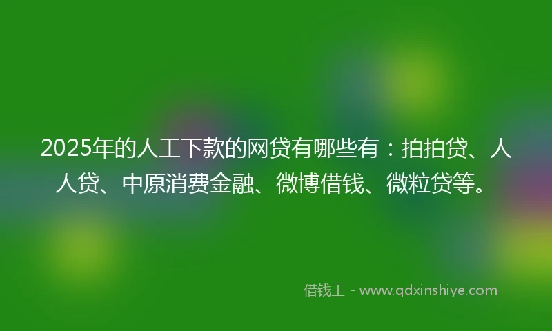 2025年的人工下款的网贷有哪些有：拍拍贷、人人贷、中原消费金融、微博借钱、微粒贷等。