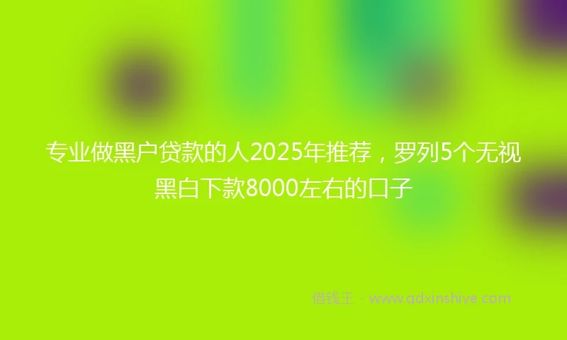 专业做黑户贷款的人2025年推荐，罗列5个无视黑白下款8000左右的口子