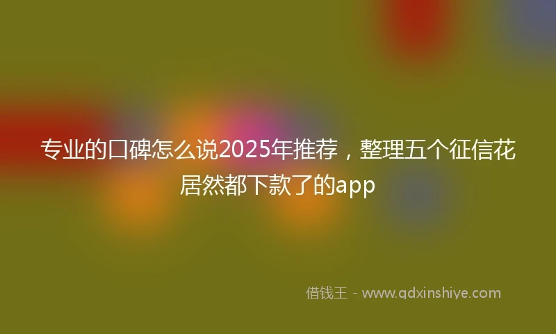 专业的口碑怎么说2025年推荐，整理五个征信花居然都下款了的app