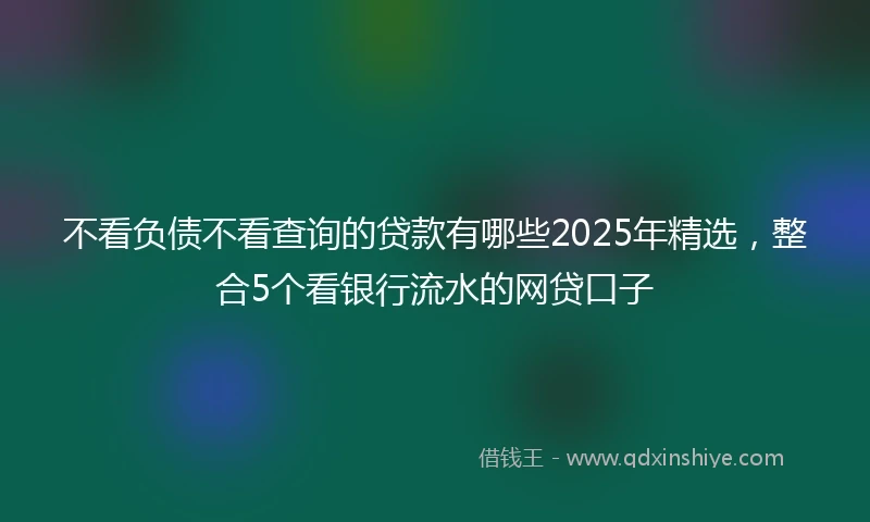 不看负债不看查询的贷款有哪些2025年精选，整合5个看银行流水的网贷口子
