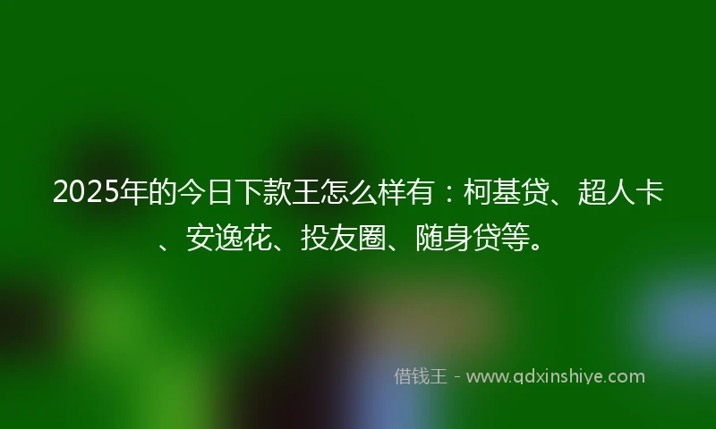 2025年的今日下款王怎么样有：柯基贷、超人卡、安逸花、投友圈、随身贷等。