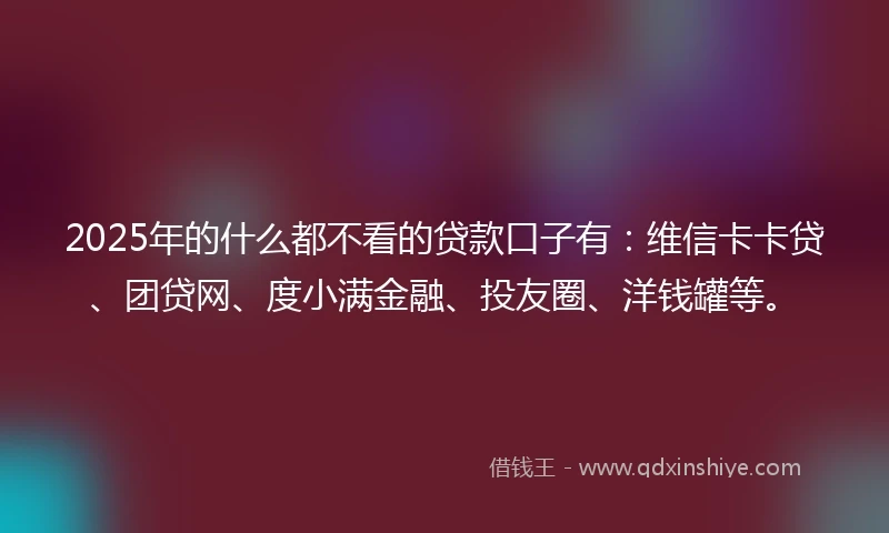 2025年的什么都不看的贷款口子有：维信卡卡贷、团贷网、度小满金融、投友圈、洋钱罐等。