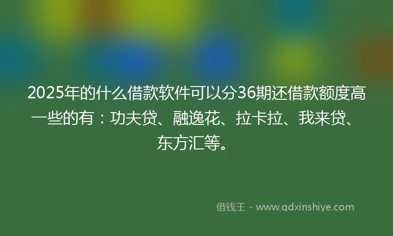 2025年的什么借款软件可以分36期还借款额度高一些的有：功夫贷、融逸花、拉卡拉、我来贷、东方汇等。