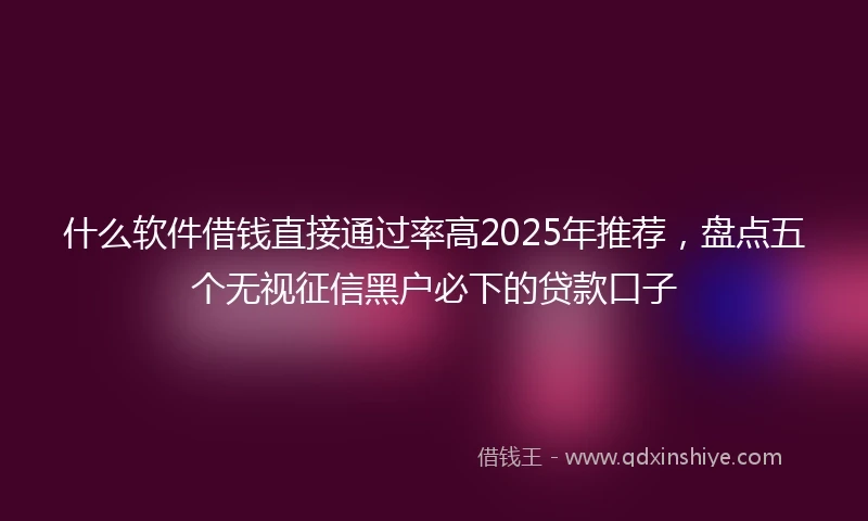 什么软件借钱直接通过率高2025年推荐，盘点五个无视征信黑户必下的贷款口子