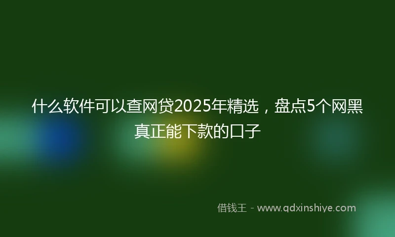 什么软件可以查网贷2025年精选，盘点5个网黑真正能下款的口子
