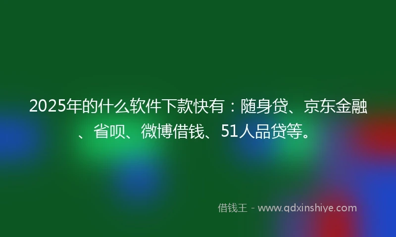 2025年的什么软件下款快有：随身贷、京东金融、省呗、微博借钱、51人品贷等。
