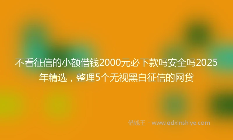 不看征信的小额借钱2000元必下款吗安全吗2025年精选，整理5个无视黑白征信的网贷
