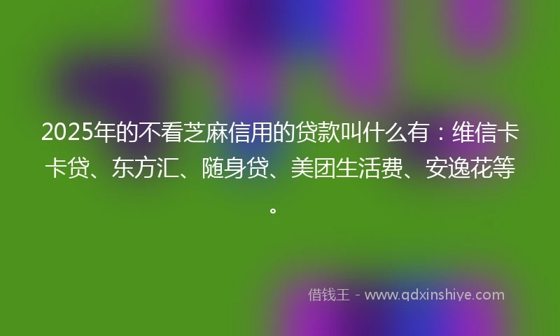 2025年的不看芝麻信用的贷款叫什么有：维信卡卡贷、东方汇、随身贷、美团生活费、安逸花等。