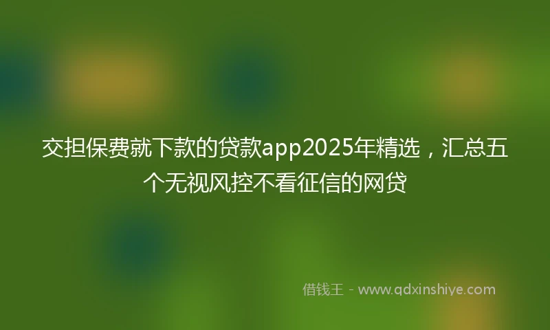 交担保费就下款的贷款app2025年精选，汇总五个无视风控不看征信的网贷