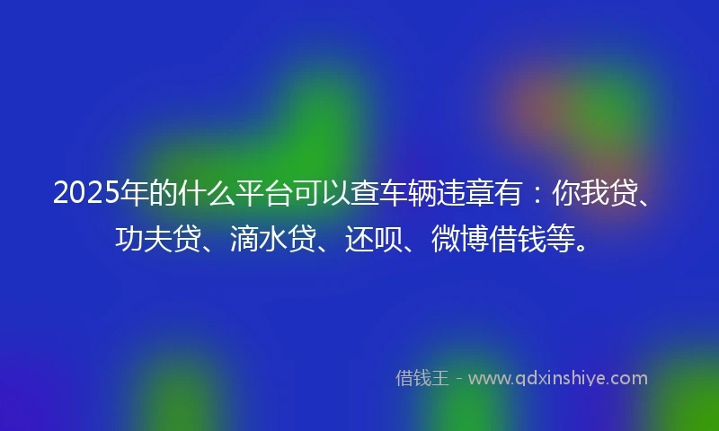 2025年的什么平台可以查车辆违章有：你我贷、功夫贷、滴水贷、还呗、微博借钱等。