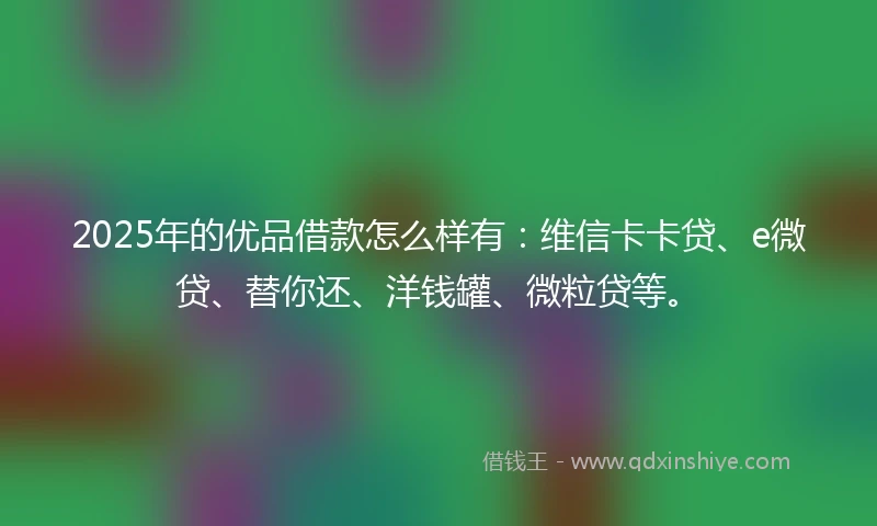 2025年的优品借款怎么样有：维信卡卡贷、e微贷、替你还、洋钱罐、微粒贷等。