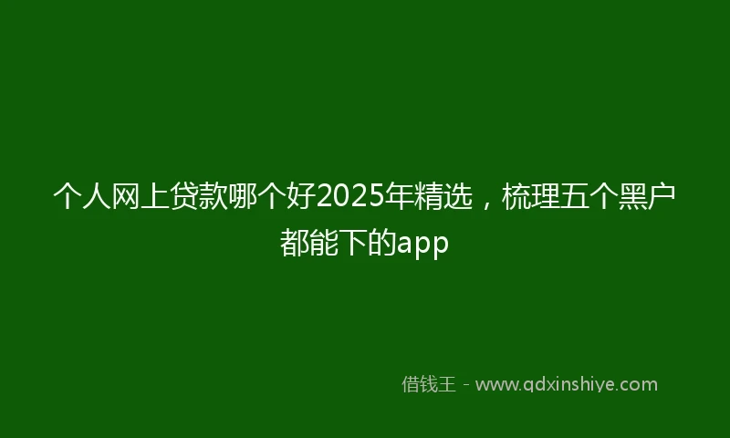 个人网上贷款哪个好2025年精选，梳理五个黑户都能下的app