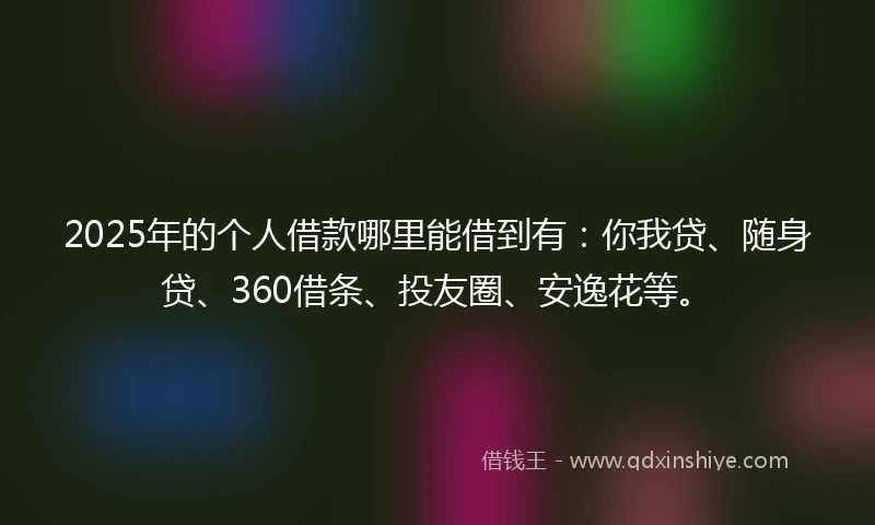 2025年的个人借款哪里能借到有：你我贷、随身贷、360借条、投友圈、安逸花等。
