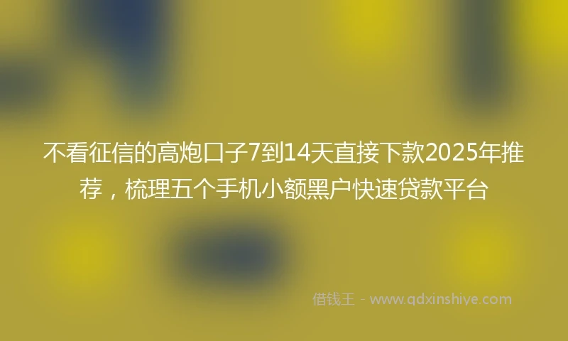 不看征信的高炮口子7到14天直接下款2025年推荐，梳理五个手机小额黑户快速贷款平台