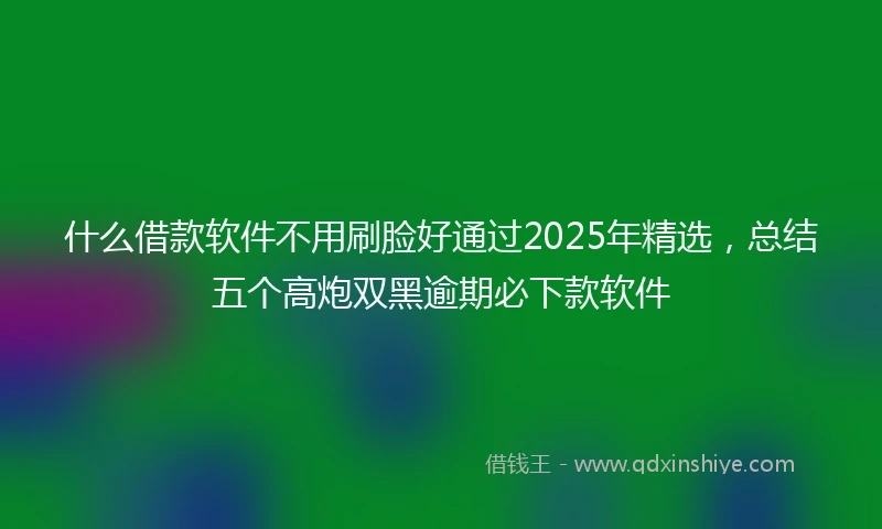什么借款软件不用刷脸好通过2025年精选，总结五个高炮双黑逾期必下款软件