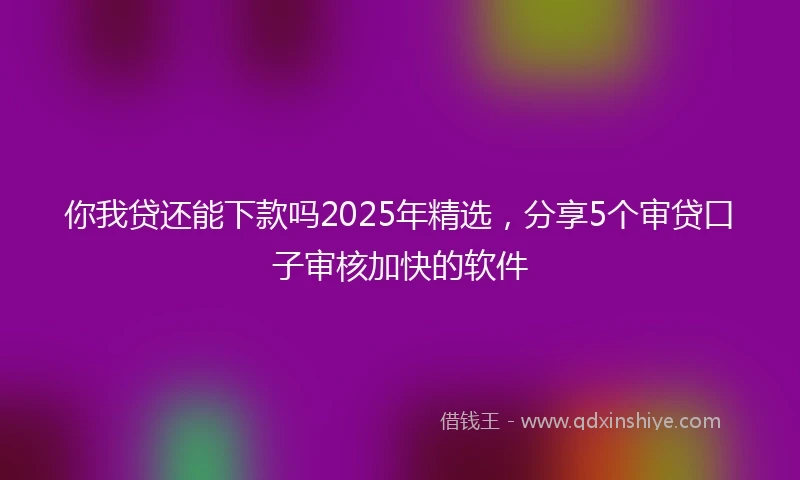 你我贷还能下款吗2025年精选，分享5个审贷口子审核加快的软件