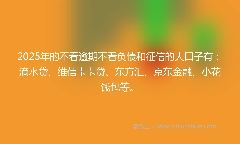 2025年的不看逾期不看负债和征信的大口子有：滴水贷、维信卡卡贷、东方汇、京东金融、小花钱包等。