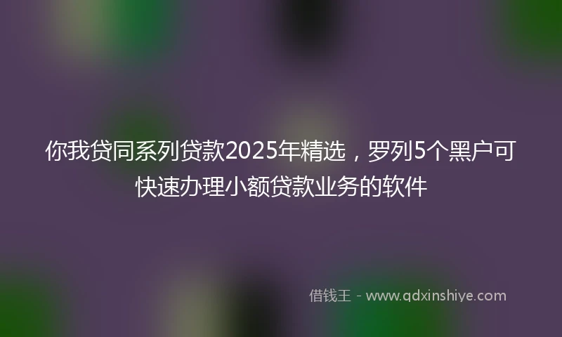 你我贷同系列贷款2025年精选，罗列5个黑户可快速办理小额贷款业务的软件