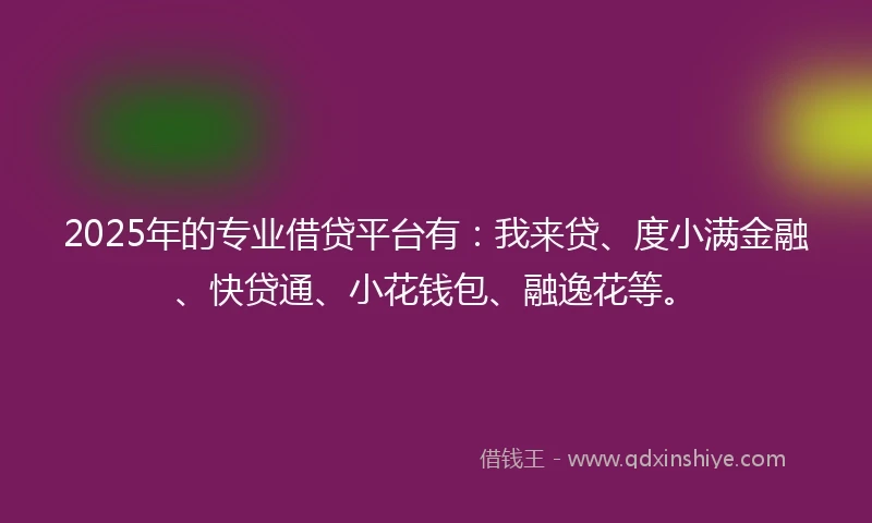 2025年的专业借贷平台有：我来贷、度小满金融、快贷通、小花钱包、融逸花等。