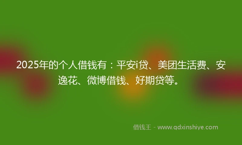 2025年的个人借钱有：平安i贷、美团生活费、安逸花、微博借钱、好期贷等。
