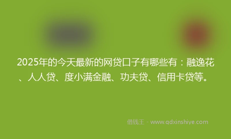 2025年的今天最新的网贷口子有哪些有：融逸花、人人贷、度小满金融、功夫贷、信用卡贷等。