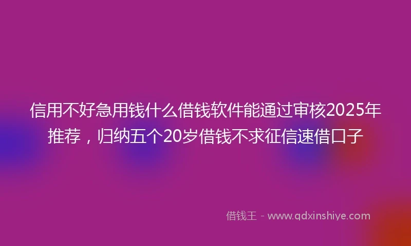 信用不好急用钱什么借钱软件能通过审核2025年推荐，归纳五个20岁借钱不求征信速借口子