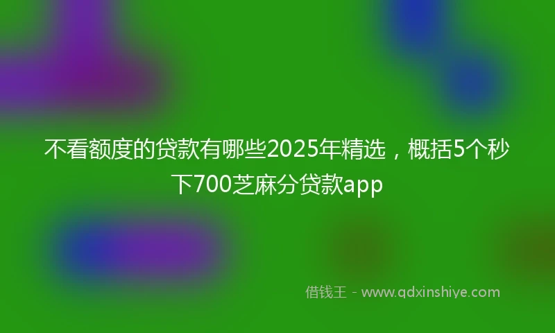 不看额度的贷款有哪些2025年精选，概括5个秒下700芝麻分贷款app