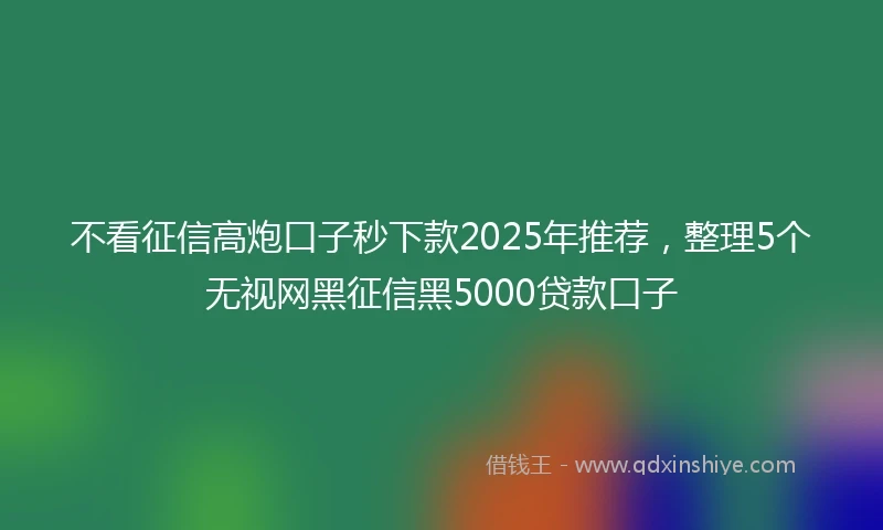 不看征信高炮口子秒下款2025年推荐，整理5个无视网黑征信黑5000贷款口子