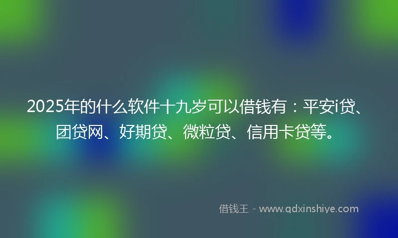 2025年的什么软件十九岁可以借钱有：平安i贷、团贷网、好期贷、微粒贷、信用卡贷等。